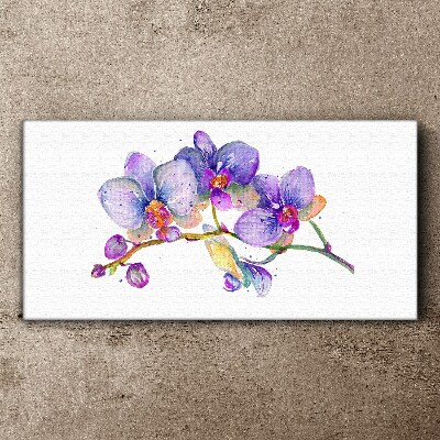Obraz Canvas Kvetinová krása orchideí