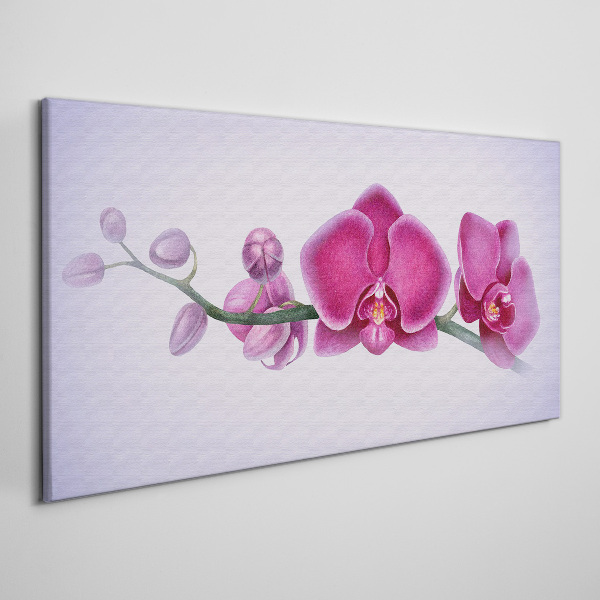 Obraz Canvas Orchidey v jemných odtieňoch ružovej
