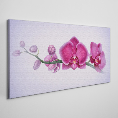 Obraz Canvas Orchidey v jemných odtieňoch ružovej
