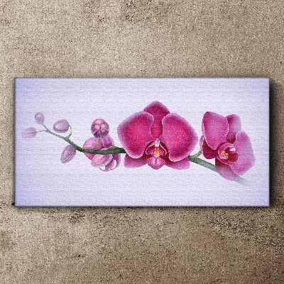 Obraz Canvas Orchidey v jemných odtieňoch ružovej