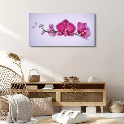 Obraz Canvas Orchidey v jemných odtieňoch ružovej