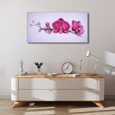 Obraz Canvas Orchidey v jemných odtieňoch ružovej