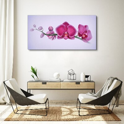Obraz Canvas Orchidey v jemných odtieňoch ružovej