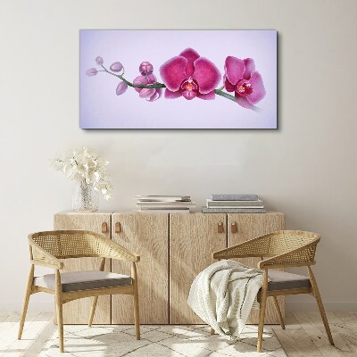 Obraz Canvas Orchidey v jemných odtieňoch ružovej