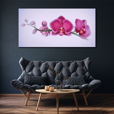 Obraz Canvas Orchidey v jemných odtieňoch ružovej