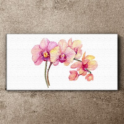 Obraz Canvas Kvetinová krása orchideí