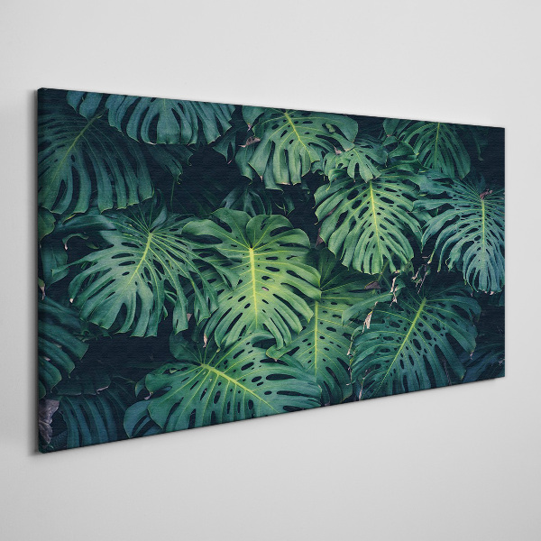 Obraz Canvas Tropická zelená v listoch Monstera