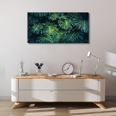 Obraz Canvas Tropická zelená v listoch Monstera