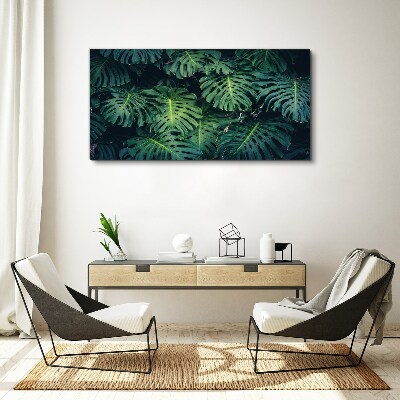 Obraz Canvas Tropická zelená v listoch Monstera