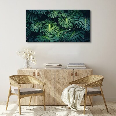 Obraz Canvas Tropická zelená v listoch Monstera