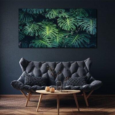 Obraz Canvas Tropická zelená v listoch Monstera