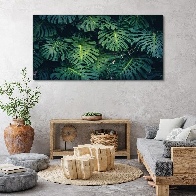 Obraz Canvas Tropická zelená v listoch Monstera