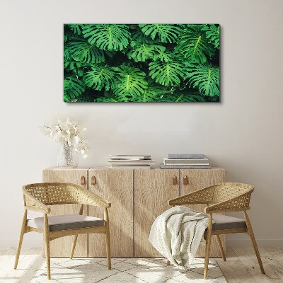 Obraz Canvas Tropická listová mozaika