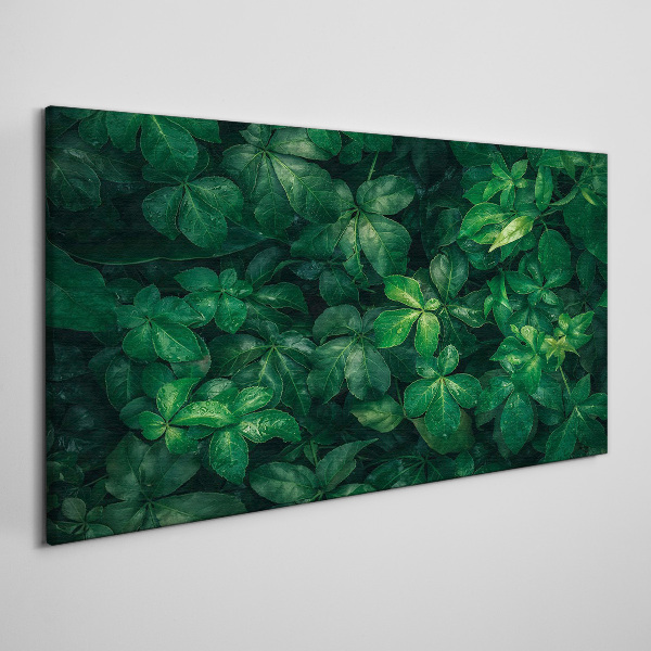Obraz Canvas Zelená húština listov
