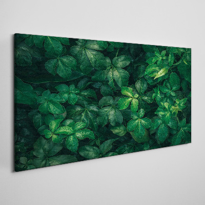 Obraz Canvas Zelená húština listov
