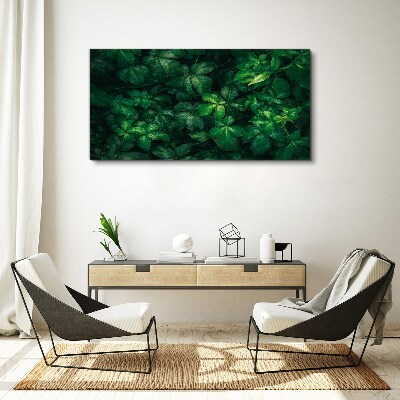 Obraz Canvas Zelená húština listov