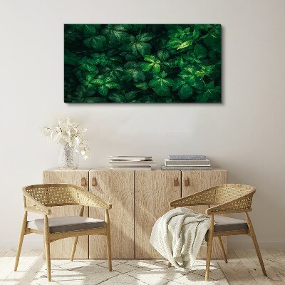 Obraz Canvas Zelená húština listov