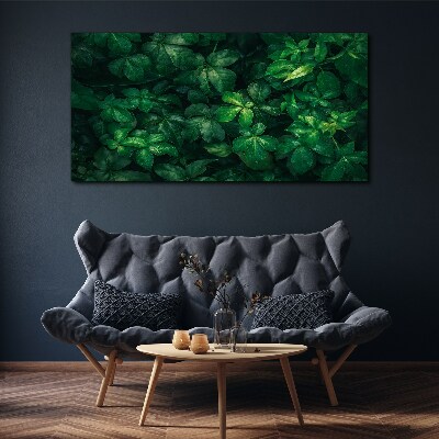 Obraz Canvas Zelená húština listov