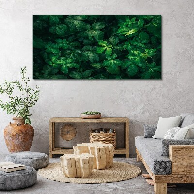 Obraz Canvas Zelená húština listov