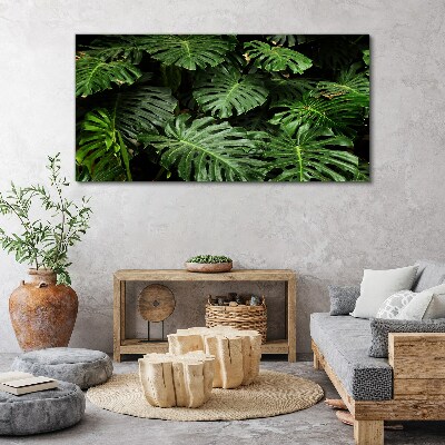 Obraz na plátne Tropické listy Monstera