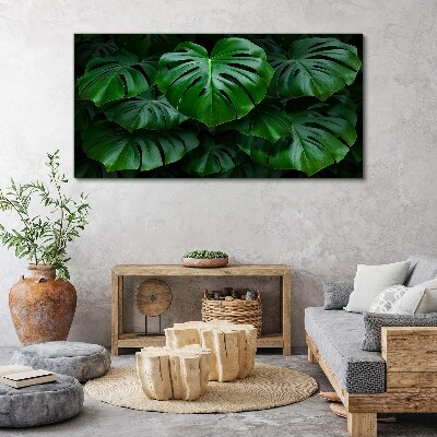 Obraz na plátne Moderné listy rastlín