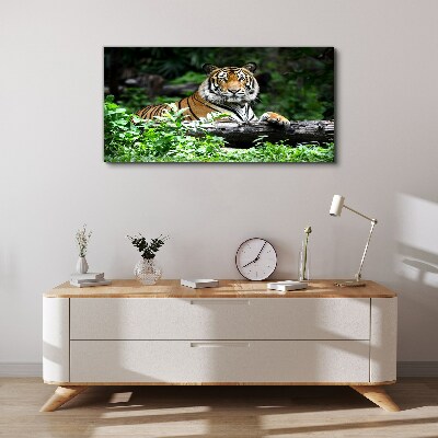 Obraz canvas Tiger v zelenom lese