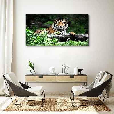 Obraz canvas Tiger v zelenom lese