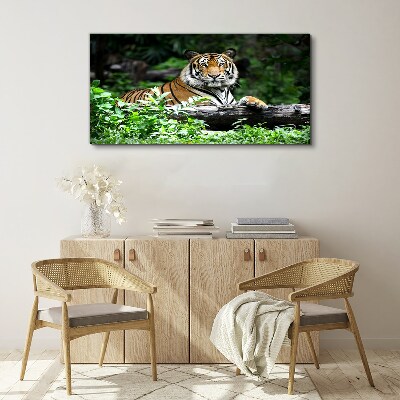 Obraz canvas Tiger v zelenom lese