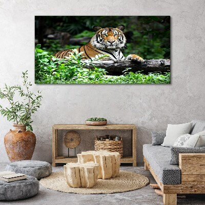 Obraz canvas Tiger v zelenom lese