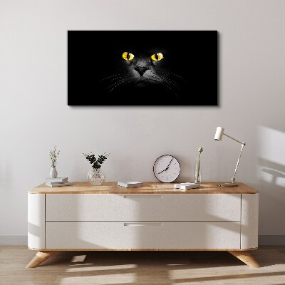 Obraz na plátne Zvieratá mačky oči