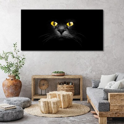 Obraz na plátne Zvieratá mačky oči
