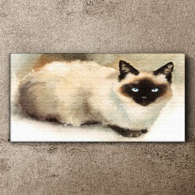 Obraz canvas Siamská mačka v jemných akvareloch
