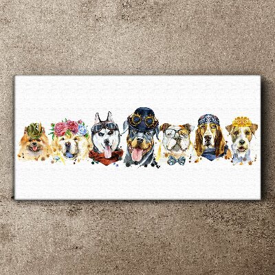 Obraz na plátne zvieracie psi
