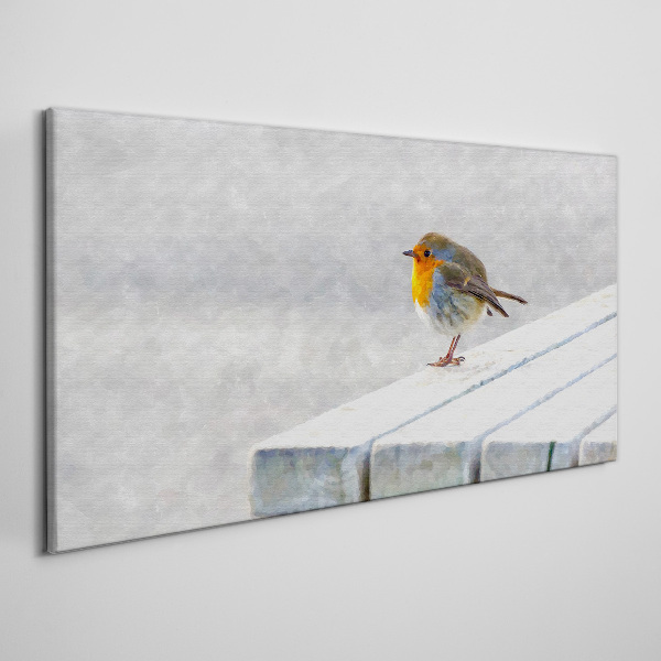 Obraz canvas Robin na bielej tabuli