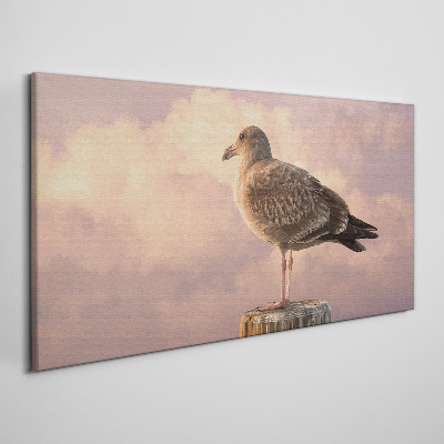 Obraz canvas Zvieracie vták Seagull Nebo