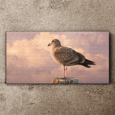 Obraz canvas Zvieracie vták Seagull Nebo