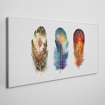 Obraz canvas Farebné perie