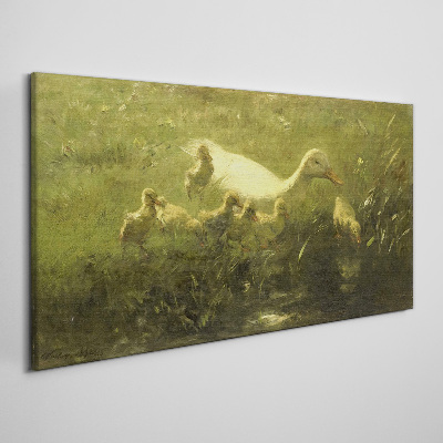 Obraz canvas Kačica s mláďatami v tráve