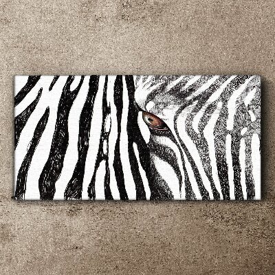 Obraz na plátne Zebra v monochromatickom štýle