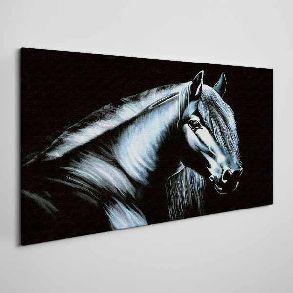 Obraz canvas Tmavý kôň v žiare svetla