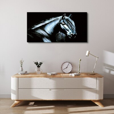 Obraz canvas Tmavý kôň v žiare svetla