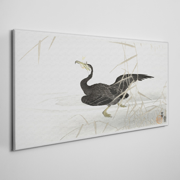 Obraz Canvas Kormorán čierny medzi trstinou
