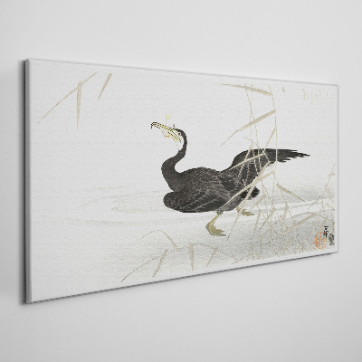 Obraz Canvas Kormorán čierny medzi trstinou