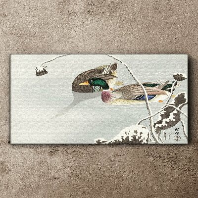 Obraz Canvas Pokojná scéna s kačicami