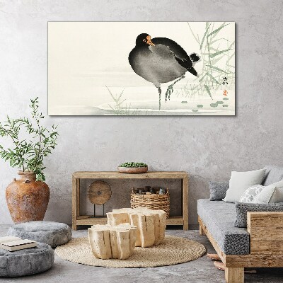 Obraz Canvas Zvieracie vták voda