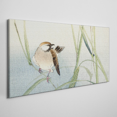 Obraz Canvas Sýkorka proti tráve