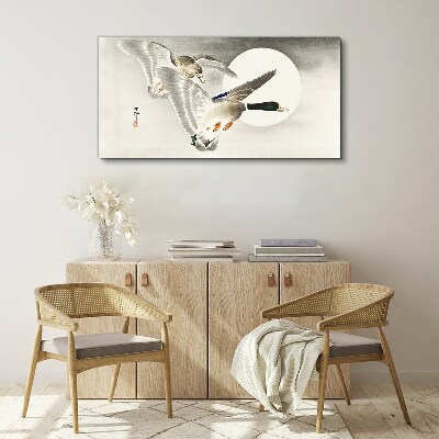 Obraz Canvas Zvieratá vtáčia kačica