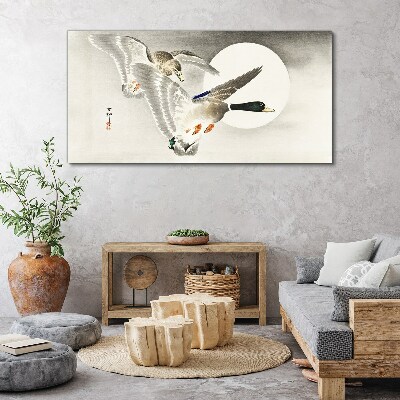 Obraz Canvas Zvieratá vtáčia kačica