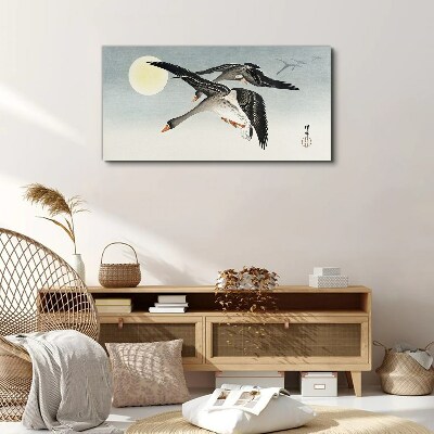 Obraz Canvas Zvieratá vtáky nebeské slnko