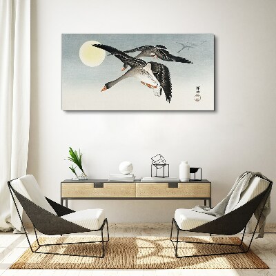 Obraz Canvas Husi v lete za splnu
